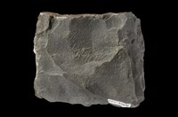 Meta-sandstone Collection Image, Figure 8, Total 9 Figures